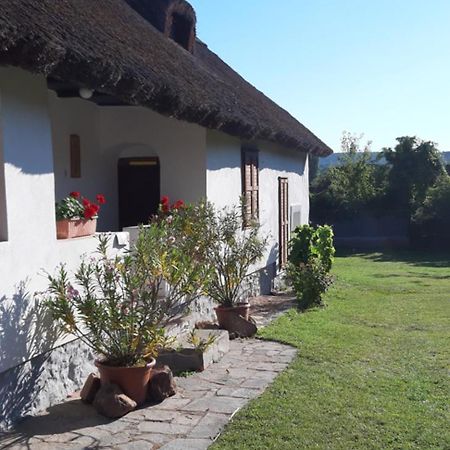 Country House Balaton Paloznak Eksteriør billede