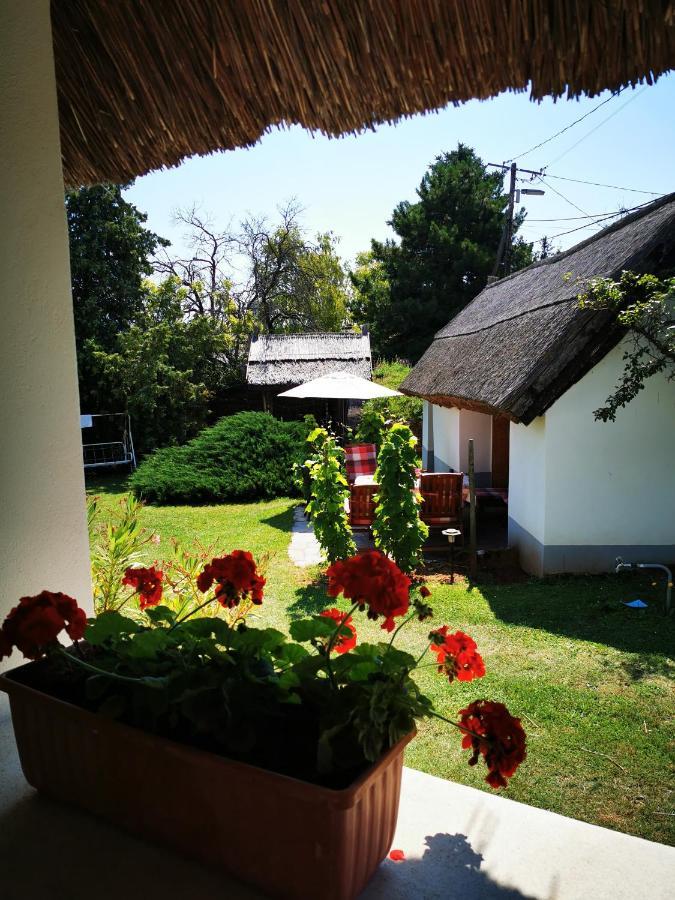 Country House Balaton Paloznak Eksteriør billede