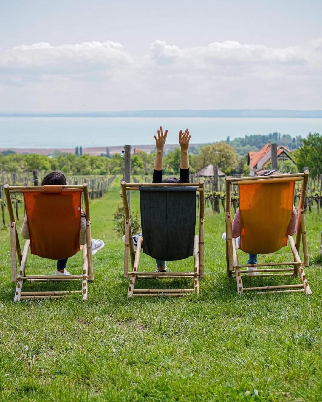 Country House Balaton Paloznak Eksteriør billede
