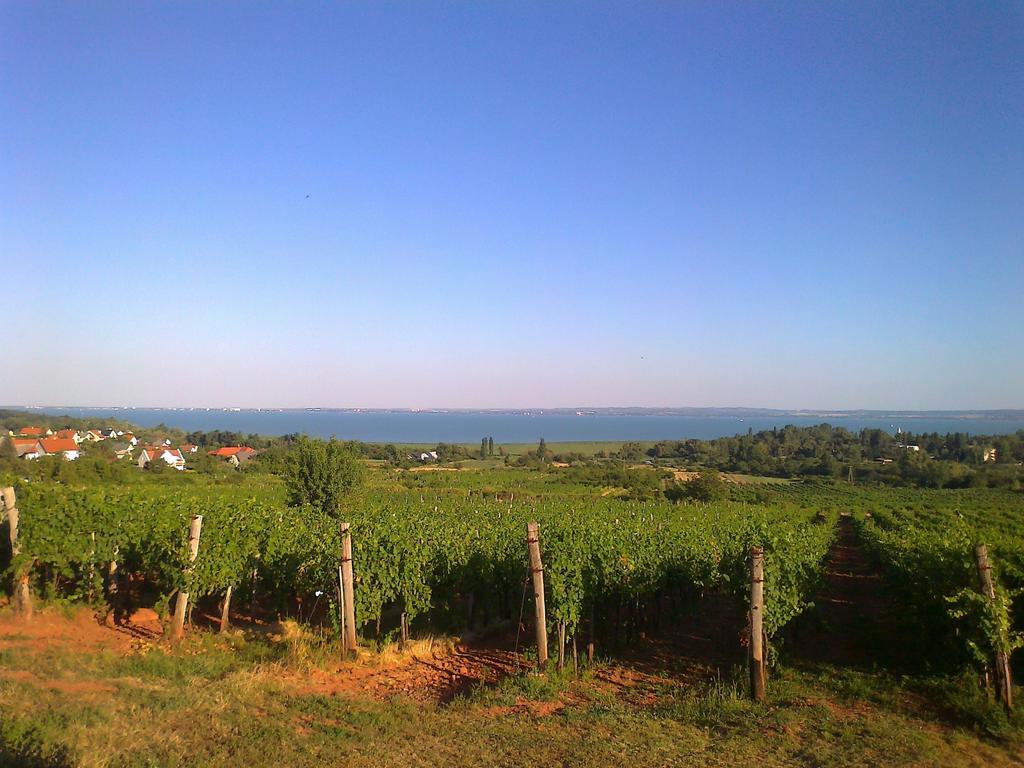 Country House Balaton Paloznak Eksteriør billede