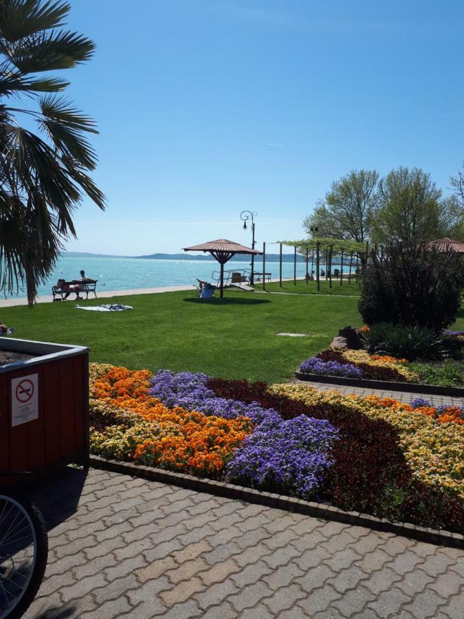 Country House Balaton Paloznak Eksteriør billede