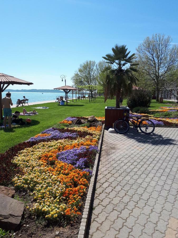 Country House Balaton Paloznak Eksteriør billede
